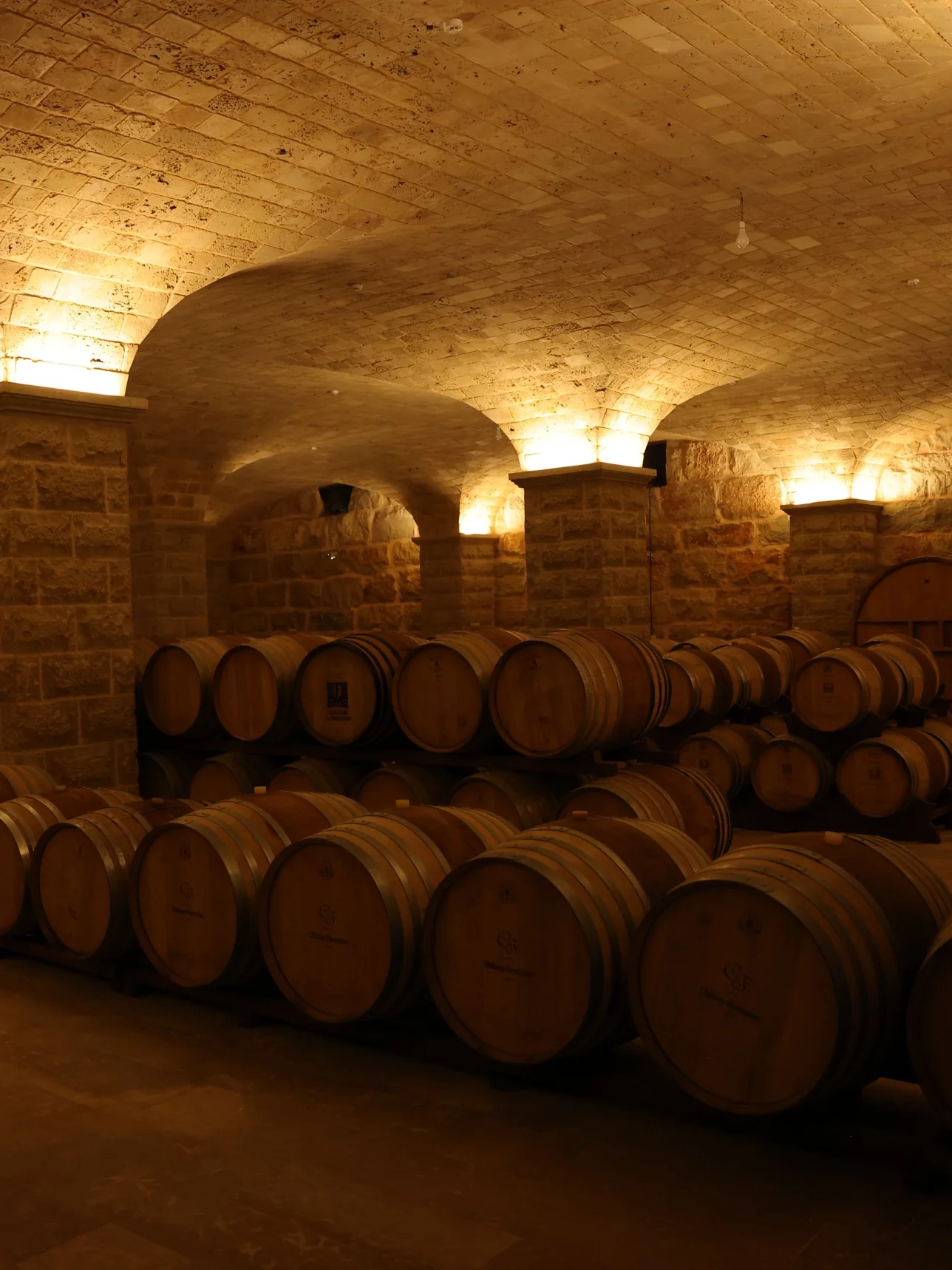 Oak barrels beneath the lit stone vaults of the cellar