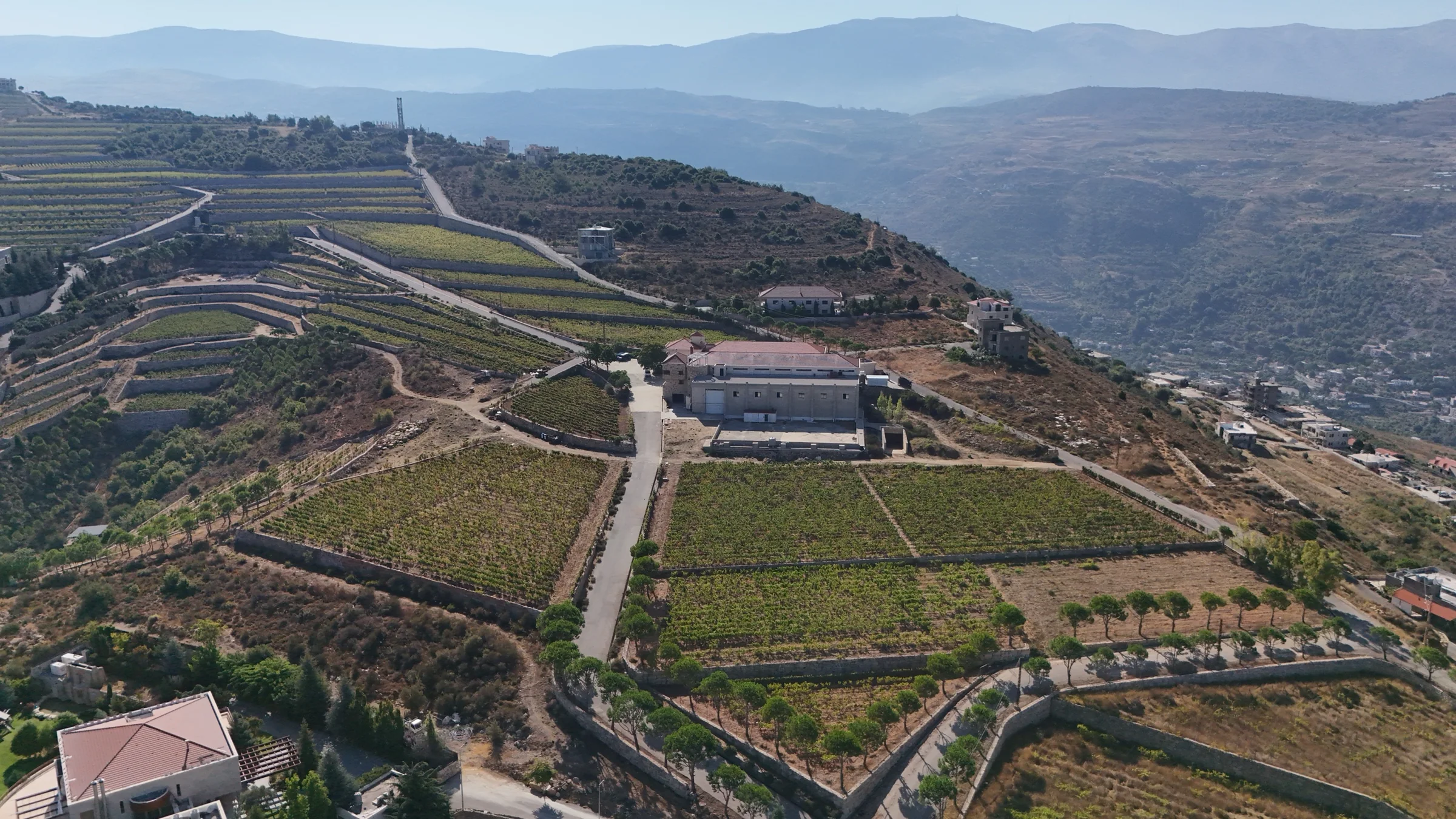 Château Florentine winery and terraced vineyards on Rouss Hill above the Chouf valley